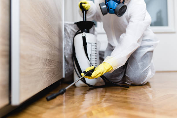 Best Affordable Pest Control Services  in Monte Vista, CO