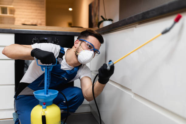 Best Wildlife Control Services  in Monte Vista, CO