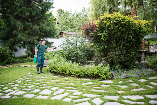 Best Emergency Pest Control  in Monte Vista, CO