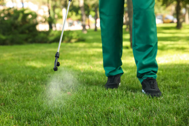 Best Ant Control Services  in Monte Vista, CO