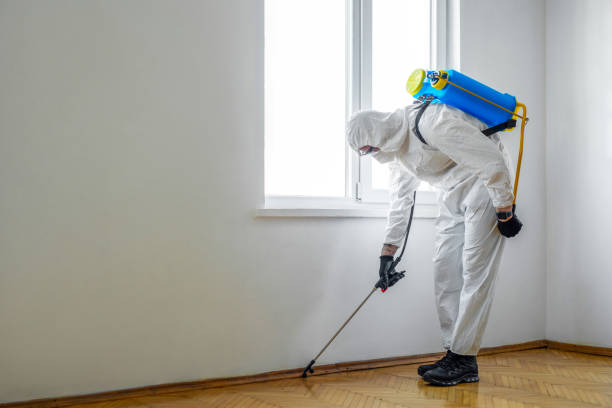 Best Wildlife Control Services  in Monte Vista, CO