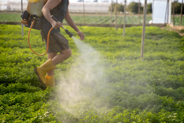 Best Mosquito Control Services  in Monte Vista, CO
