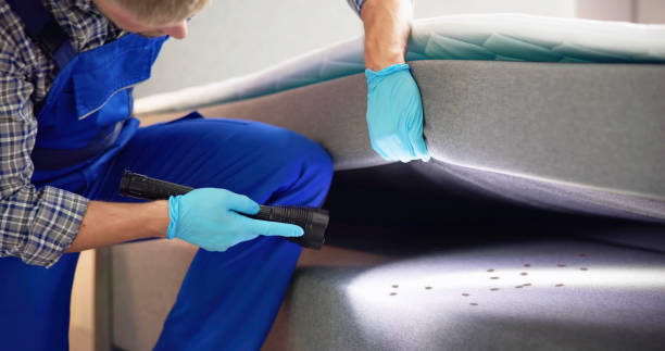 Best Rat Extermination Near Me  in Monte Vista, CO
