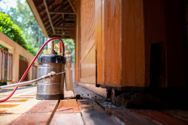 Best Mosquito Control Services  in Monte Vista, CO