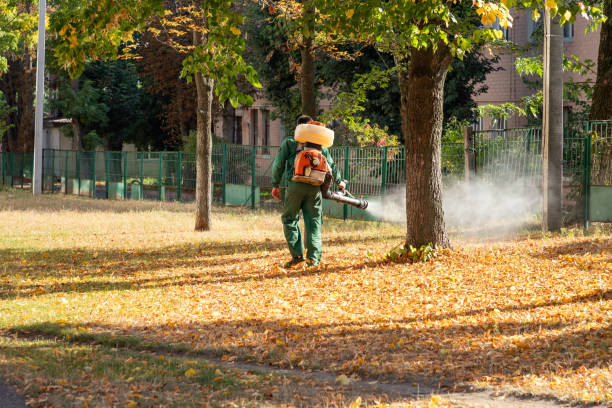Best Cockroach Control Services  in Monte Vista, CO