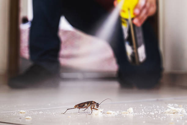 Best Residential Pest Control  in Monte Vista, CO