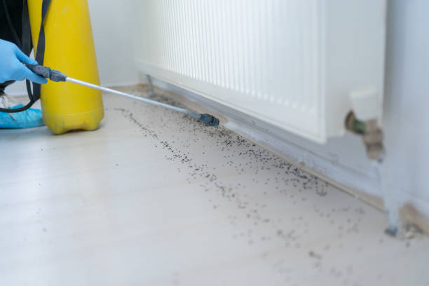 Best Bed Bug Extermination  in Monte Vista, CO